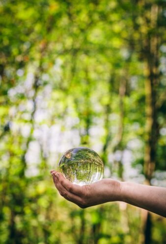 a-glass-sphere-held-by-a-woman-reflecting-a-fores-2025-03-25-23-42-10-utc